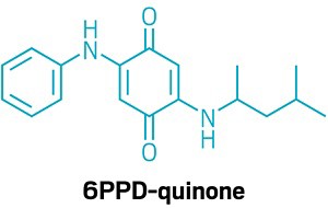 Structura chimică a 6PPD-chinonei. 10006-feature1-quinone.jpg