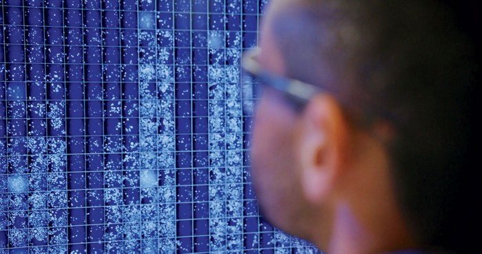 The back of a researcher's head, out of focus, is in the foreground. He is looking at a blue computer screen with molecular images. The back of a researcher's head, out of focus, is in the foreground. He is looking at a blue computer screen with molecular images.