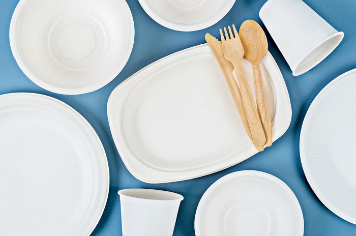 Photo shows disposable paper plates and cups and single-use wooden cutlery. 09914-feature2-plates.jpg