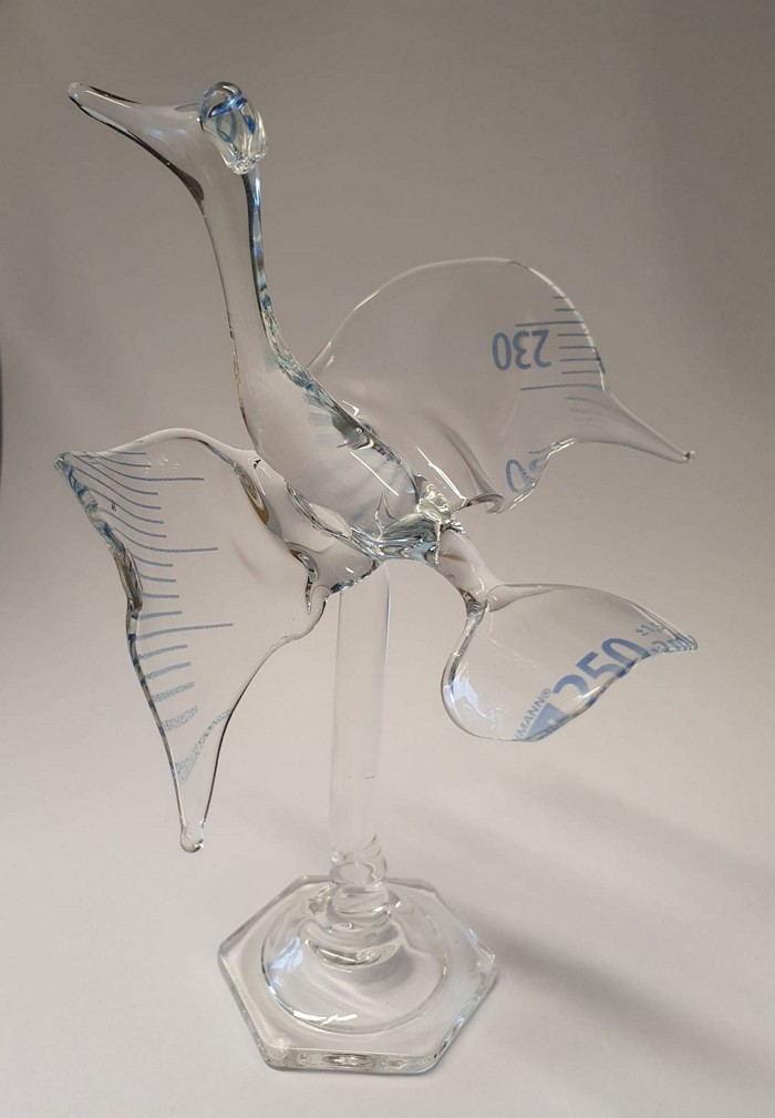 20220202lnp20-bird.jpg