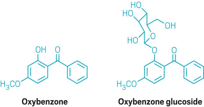 Химични структури на оксибензона и оксибензоновия глюкозид.