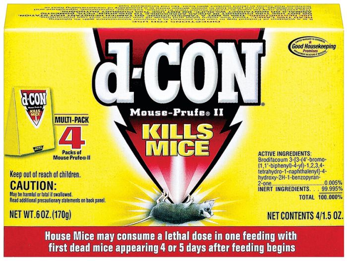 how much mouse poison will kill a large dog