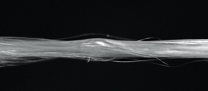 Spider Silk Poised For Commercial Entry Spider Silk Poised For Commercial Entry