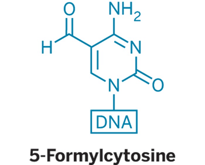 c en american chemical society