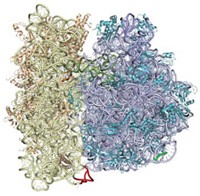 Serving the chemical, life science, and laboratory worlds