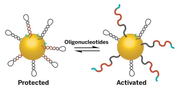 dna to make 3 d nanoparticle structures