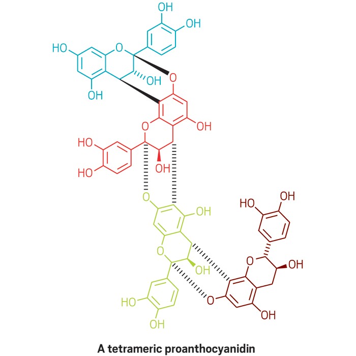Bark Extract Strengthens Bite Bark Extract Strengthens Bite