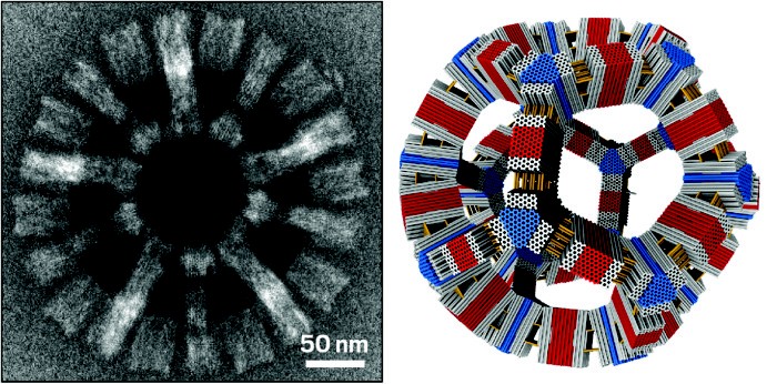 dna origami hits the big time