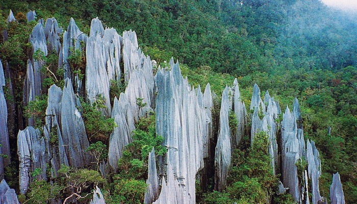 rocks are a missing piece of the nitrogen cycle