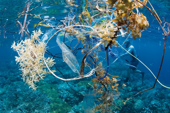 fighting ocean plastics at