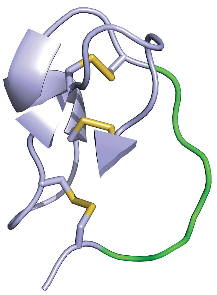 09622-scicon2-structure.jpg