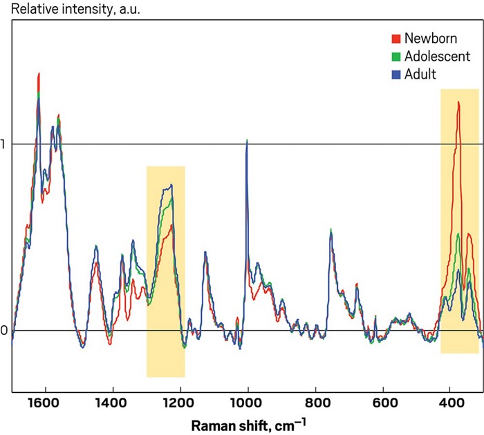 raman spectra of bloodstains could reveal age range of suspects or