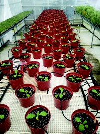 Serving the chemical, life science, and laboratory worlds