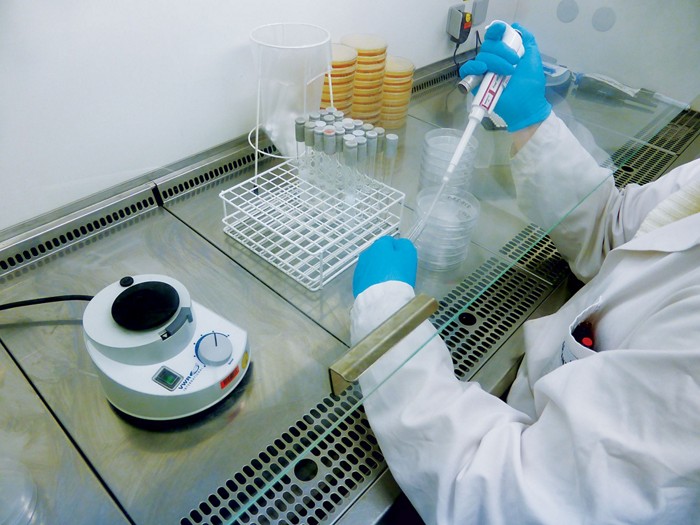 Photo of a technician testing cosmetics for microbial contamination. 09639-feature3-clariant.jpg