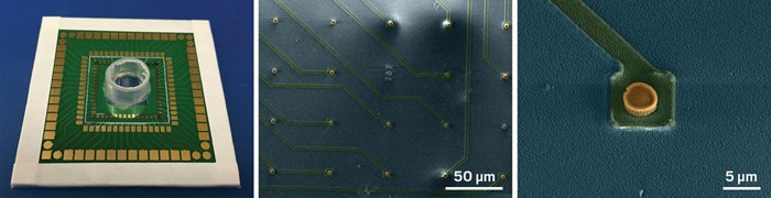 Images of an electrode array. microelectrode1.jpg