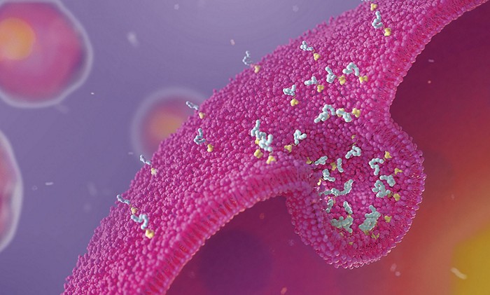 Serving the chemical, life science, and laboratory worlds