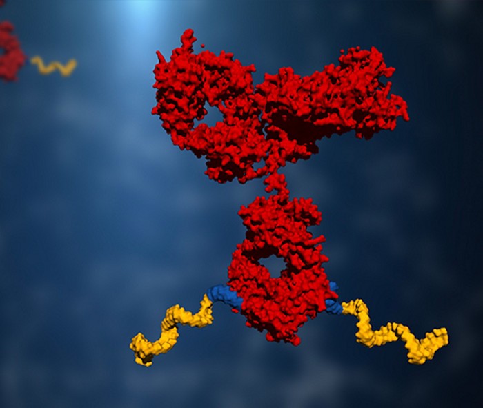 Serving the chemical, life science, and laboratory worlds