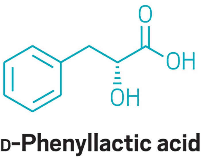 Structure of D-phenyllactic acid 09721-scicon5-phenyl.jpg
