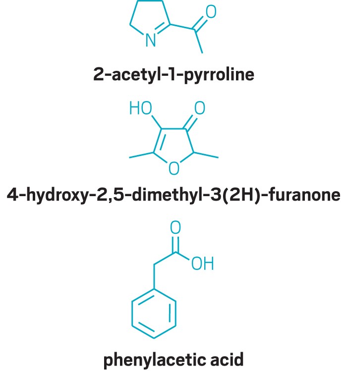 Structures of 2-acetyl-1-pyrroline, 4-hydroxy-2,5-dimethyl-3(2H)-furanone and phenylacetic acid . 09725-scicon5-pyrroline.jpg