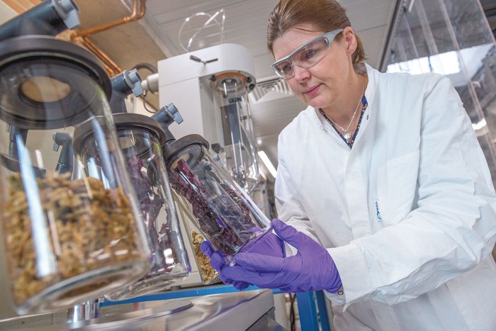 Photo of a chemist analyzing samples of seaweed. 09734-cover3-dutchlabcxd.jpg