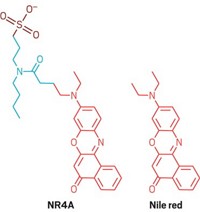 Serving the chemical, life science, and laboratory worlds