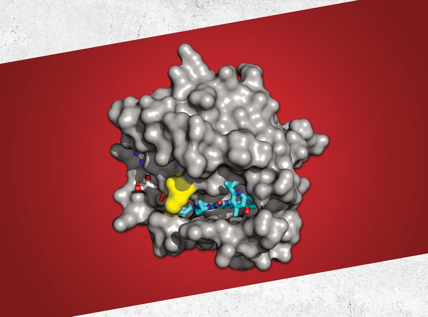 Notorious Kras Taking Down Cancer Researchers Biggest Foe Notorious Kras Taking Down Cancer Researchers Biggest Foe