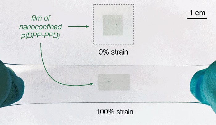 New stretchy semiconductor for better-performing biodegradable electronics