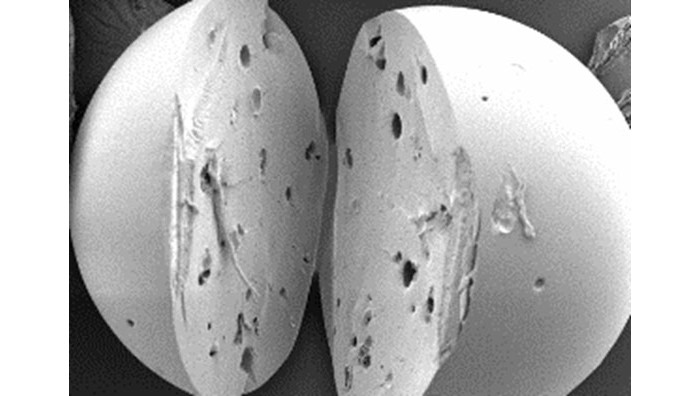 Polymer particles protect micronutrients to fortify food