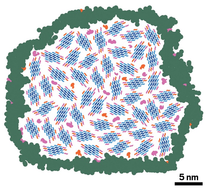 A surprising portrait of wood's molecular makeup