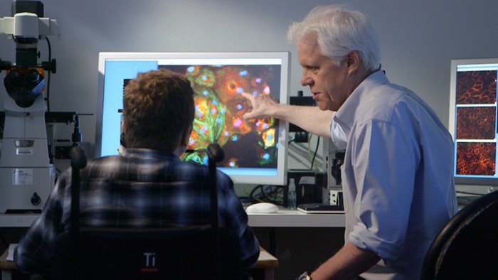 Vertex Expands Muscular Dystrophy Crispr Programs