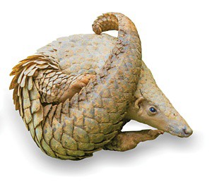 09813-scicon7-pangolin.jpg