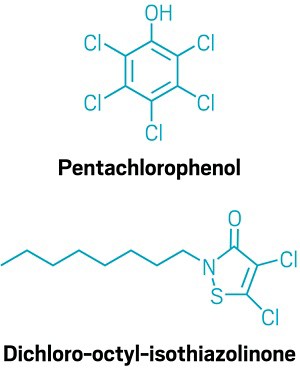 The structures of pentachlorophenol and dichloro-octyl-isothiazolinone. 09814-feature3-structures.jpg