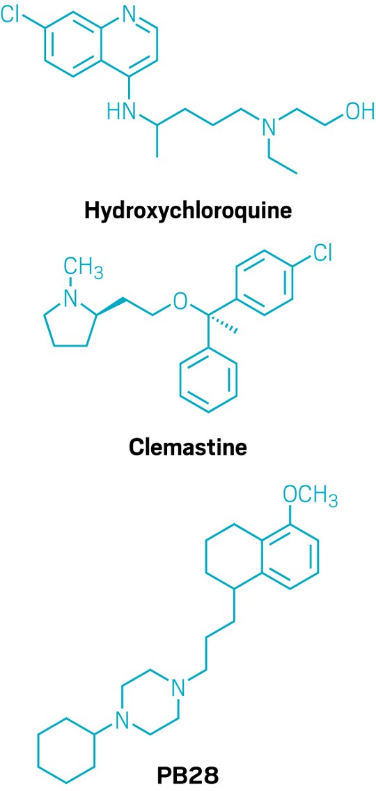 Cell Studies Suggest Some Repurposed Drugs Could Block Replication