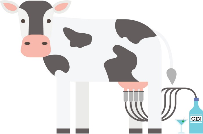 Une caricature d'une vache traire dans une bouteille de gin. 09819-newscripts-gin.jpg