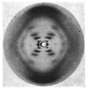 This is Photograph 51. 09829-scicon2-xray.jpg