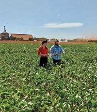 Serving the chemical, life science, and laboratory worlds