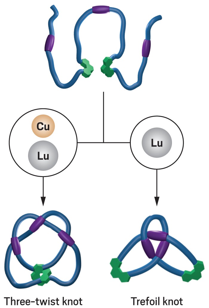 tying knots in a molecular string