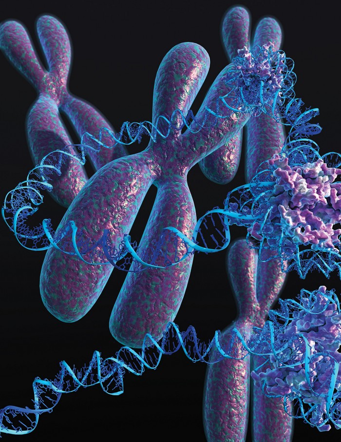 The Curious Dna Circles That Make Treating Cancer So Hard The Curious Dna Circles That Make Treating Cancer So Hard