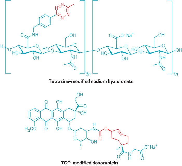 Click Chemistry Sees First Use In Humans