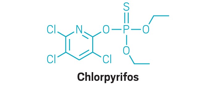 Corteva to stop producing chlorpyrifos