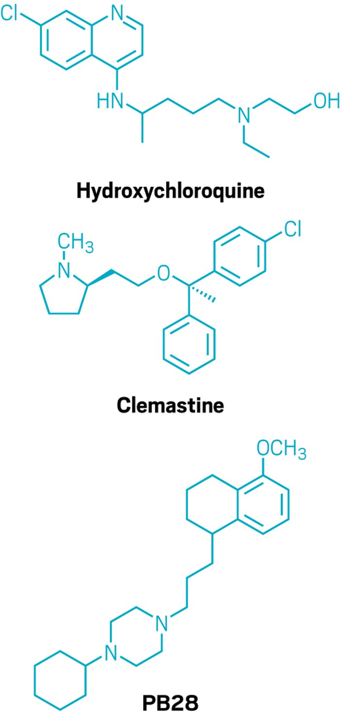 Cell Studies Suggest Some Repurposed Drugs Could Block Replication