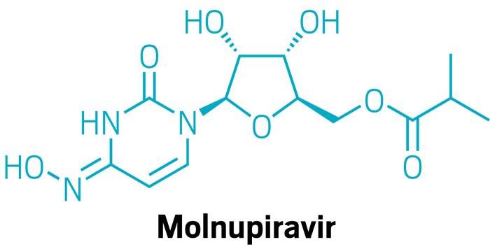 Chemists shorten the synthesis of molnupiravir to prepare for scale-up