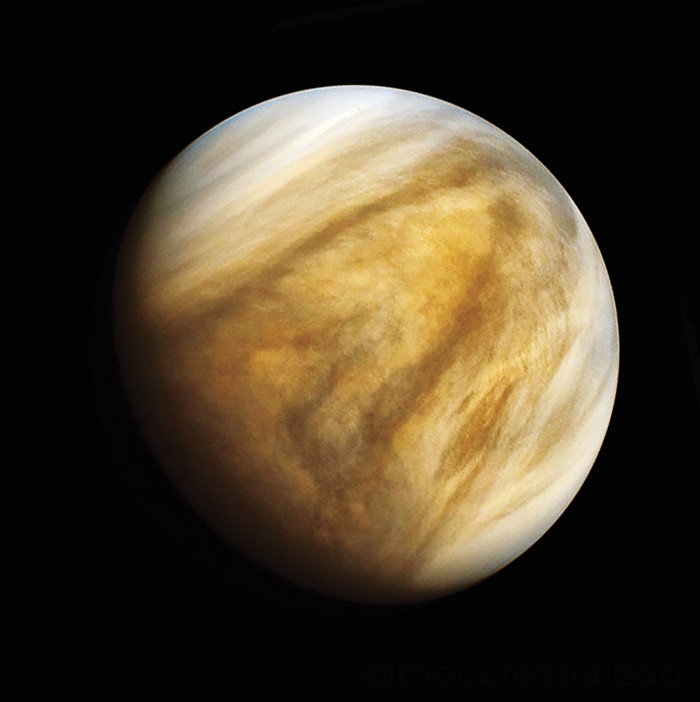 What Can We Learn From Venus