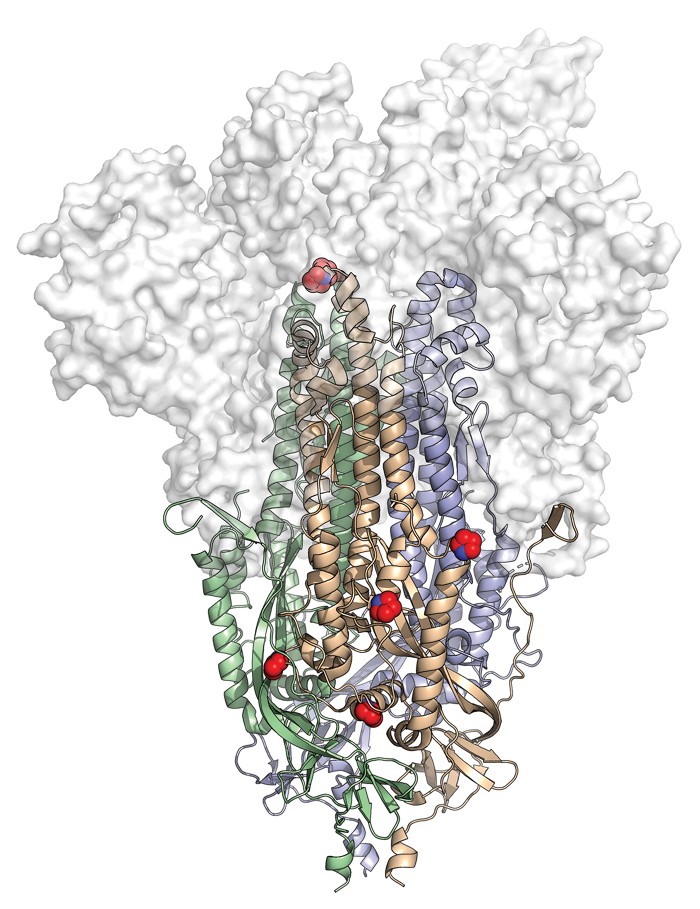 Everything We Know About The Covid 19 Coronavirus