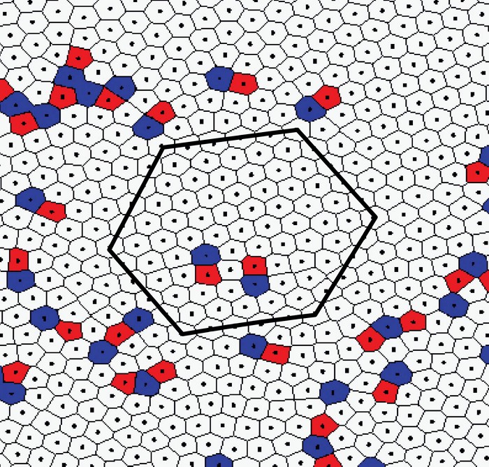 Solid, gas, liquid . . . hexatic phase?