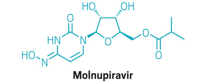 Molnupiravir reduces risk of hospitalization and death in patients with  mild to moderate COVID-19
