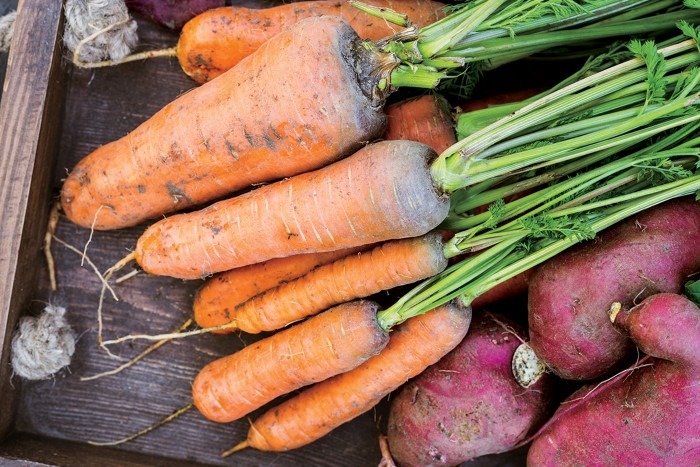 Podcast Reducing Toxic Metals In Food
