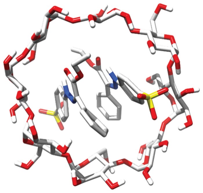 Gamma-cyclodextrin wrapped around two Z-hydrazone molecules.