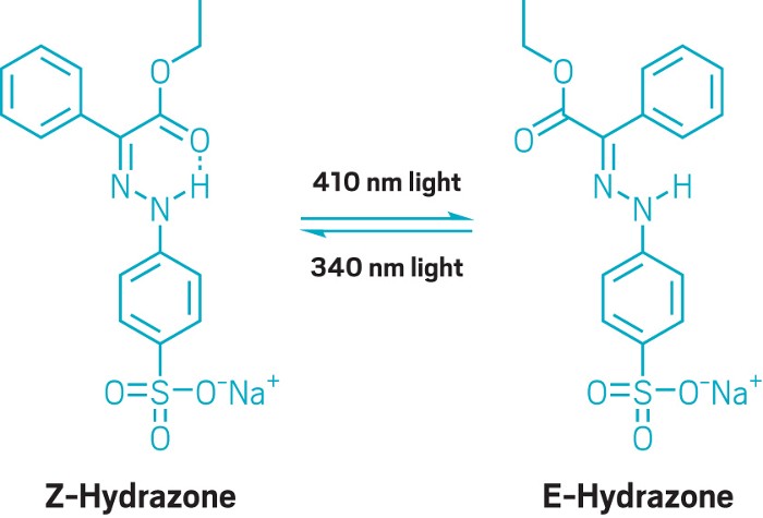 The E and Z isomers of a hydrazone template.