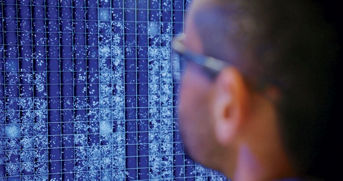 The back of a researcher's head, out of focus, is in the foreground. He is looking at a blue computer screen with molecular images.